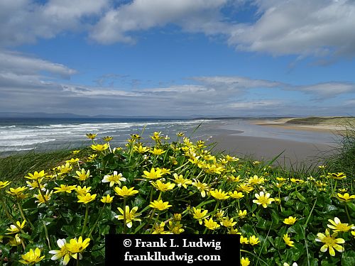 Bundoran Coast